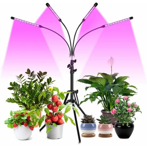 Pflanzenlicht Wachsen licht Doppelkopf Pflanzenleuchte Wachstumslampe mit 360 Grad einstellbar Flexible für Zimmerpflanzen Gemüse und Blumen Pathonor Pflanzenlampe 24 Watt LED-Lampe Farbe 1 