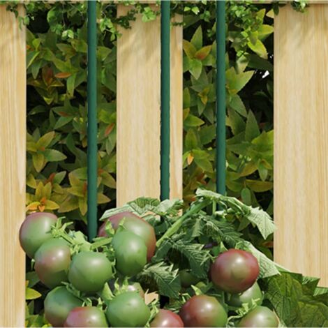 Pflanzenstützen 30 Stk. Grün 180 cm Stahl CFW727719
