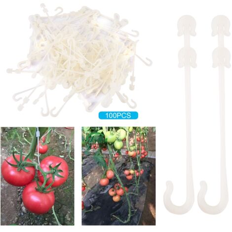 Pflanzenstützen für Gartenpflanzen – Haken für Kirschtomaten und Klettergemüse