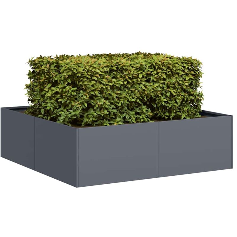 Pflanzkübel Anthrazit 100x100x30 Cm Stahl Vidaxl