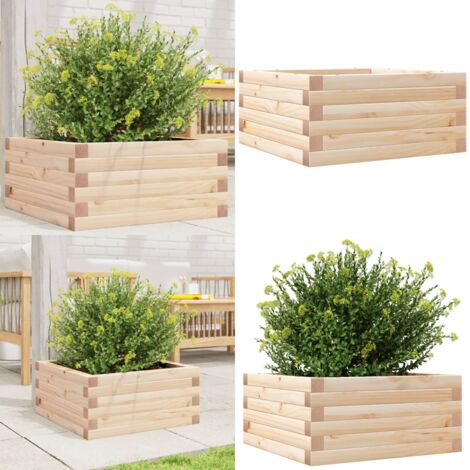 Pflanzkübel 50x50x23 cm Massivholz Kiefer - Holzpflanze - Holzhintergrund - Gartendekoration - Blumengarten - Kübeln - Home & Living