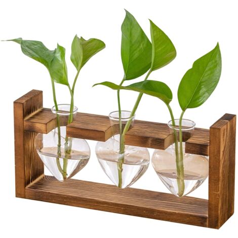 Pflanzstation aus Glas – Kleine Vintage-Vase mit Holzrahmen, Tischdekoration und Hydrokultur-Terrarium, kleine Blumenvase für Wohnzimmer, Büro oder Fensterbank