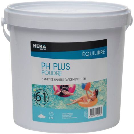PH Plus Poudre 5 kg - Intex