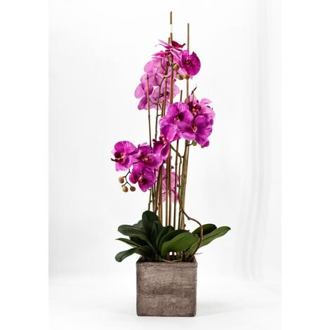 Composizione di Orchidee Finte Screziate e Tronchi Naturali. Unica