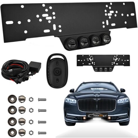 Phares Laser LED plaque d'immatriculation EU 12V + télécommande