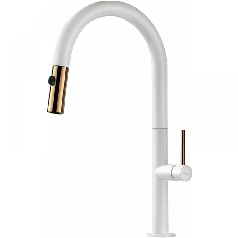 SNQ - phasat Robinet Mitigeur Cuisine avec Douchette 2 Jets Pivotant à 360° Robinet Mitigeur évier Coulée en Laiton de Haute Qualité Mélangeur