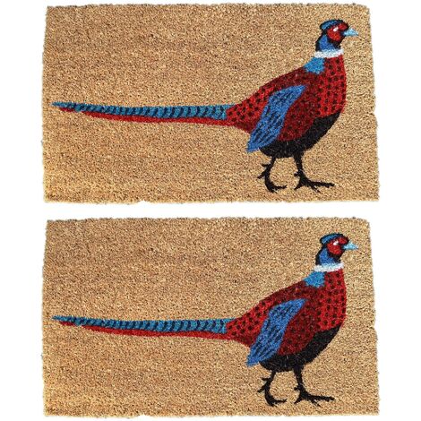 Pheasant Indoor & Outdoor Coir Doormat