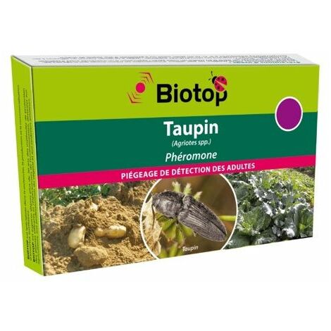 phéromone Agriotes : Taupin (1 capsule)