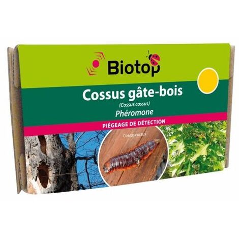 Phéromone Cossus gâte-bois (2 capsules)