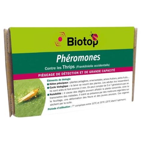 phéromone : Thrips (2 capsules)