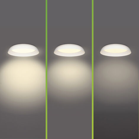 Philips 8720169300972 Fleta Plafonnier LED LED 10 W transparent