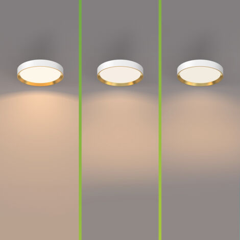 Philips 8720169301375 Hanno LED-Deckenleuchte LED 24 W Weiß, Gold