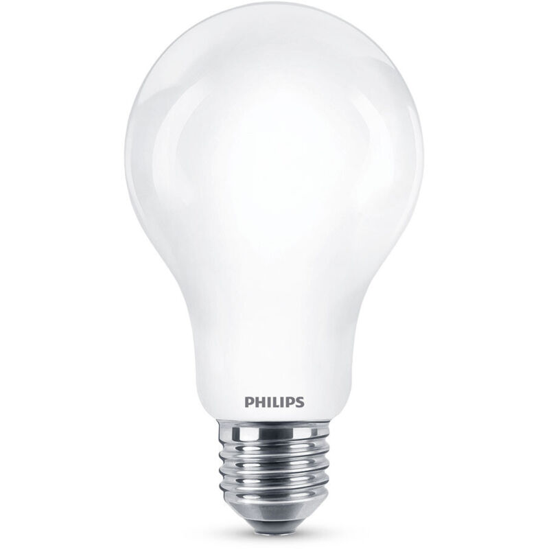 PHILIPS LED E27 Dépolie EQ150W - vue 4