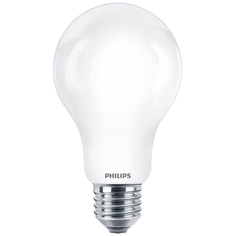 Bulb de filament mat 200 w A95 E27 - Philips Bulb de filament mat 200 w A95 E27 - Philips