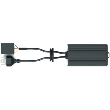 Philips Automotive CanBus Lastwiderstand 18960X2 Bauart (Kfz-Leuchtmittel) H4