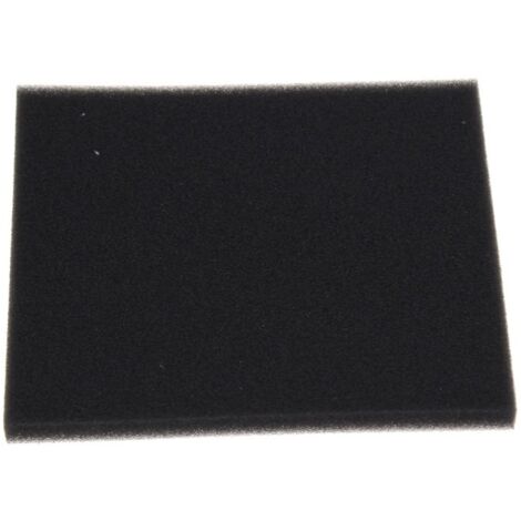 Philips - filtre en mousse - - 422245946171