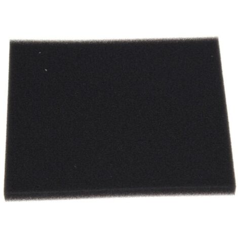 Philips - filtro (mousse) - 422245946171 -