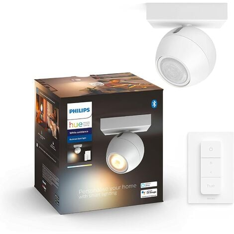 Philips Hue White and Color Ambiance Plafonnier Infuse Medium, Blanc,  compatible Bluetooth, fonctionne avec Alexa, Google Assistant et Apple  Homekit : : Luminaires et Éclairage