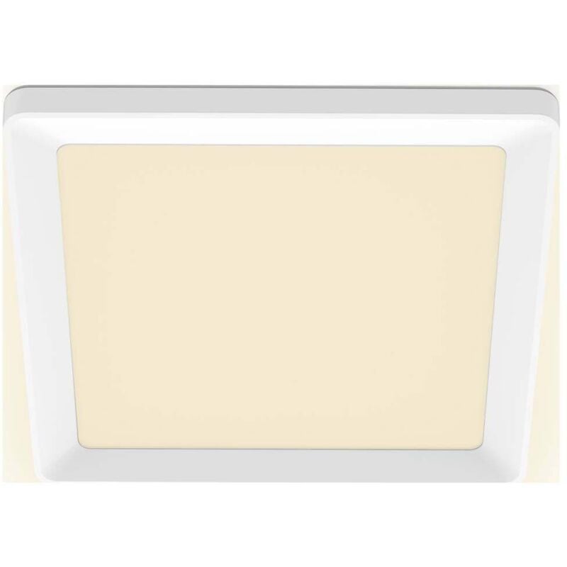 Philips - SceneSwitch 8720169347892 Panneau à led 12 w blanc chaud blanc