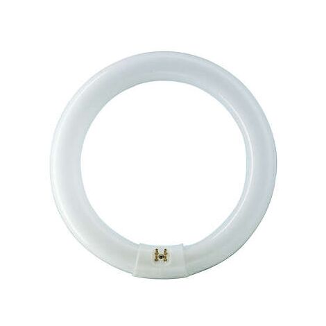 PHILIPS TL-E 22W/865 1CT/12 kühles Tageslicht, Ringlampe mit Ø 213,5 mm, dimmbar