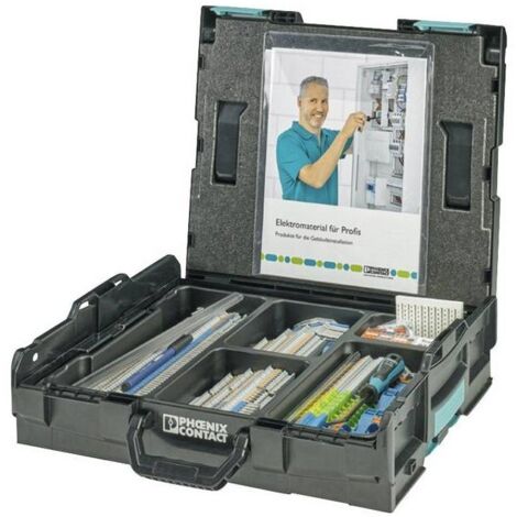 Phoenix Contact 1185519 Morsetto per installazione Grigio 1 KIT