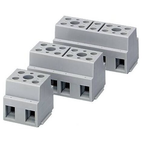 Phoenix Contact 2716703 G 10/ 2 Morsetto terminale flessibile: -6 mm² rigido: -6 mm² Numero Poli (num): 2 1 pz. Grigio