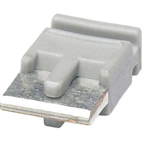 Phoenix Contact FBST 6-PLC GY Peigne de pontage Nombre de pôles: 2 gris 1 pc(s) D12931