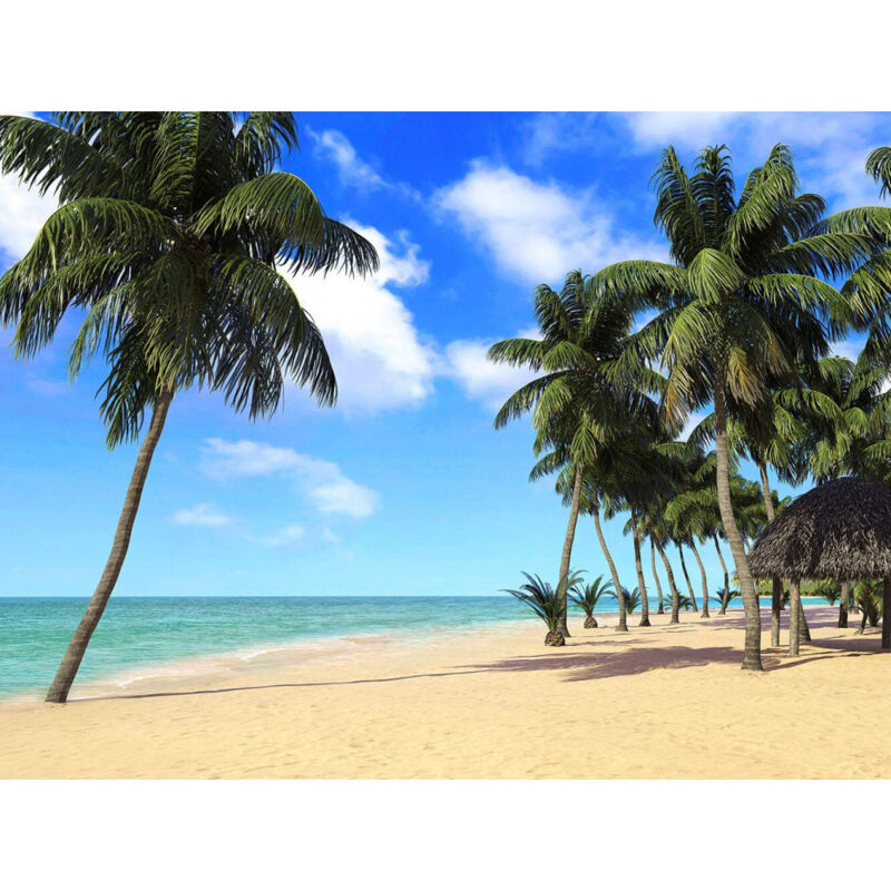 Ag Art - Photo mural intissé plage des tropiques 360x270 cm, 4 parts