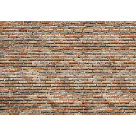 Photo murale de Komar - Backstein - Taille: 368 x 254 cm - brun