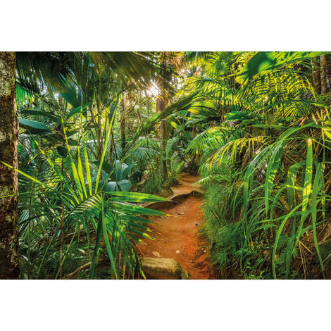 Photo murale de Komar - Jungle Trail - Taille: 368 x 254 cm - vert/blanc