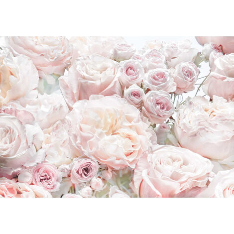 Photo Murale, 368cm x 254cm, Spring Roses 8-976