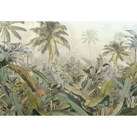 Photo murale intissé de Komar - Amazonia - Taille: 368 x 248 cm - vert/brun