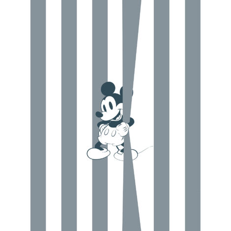 Photo murale intissé impression numérique Mickey Offbeat