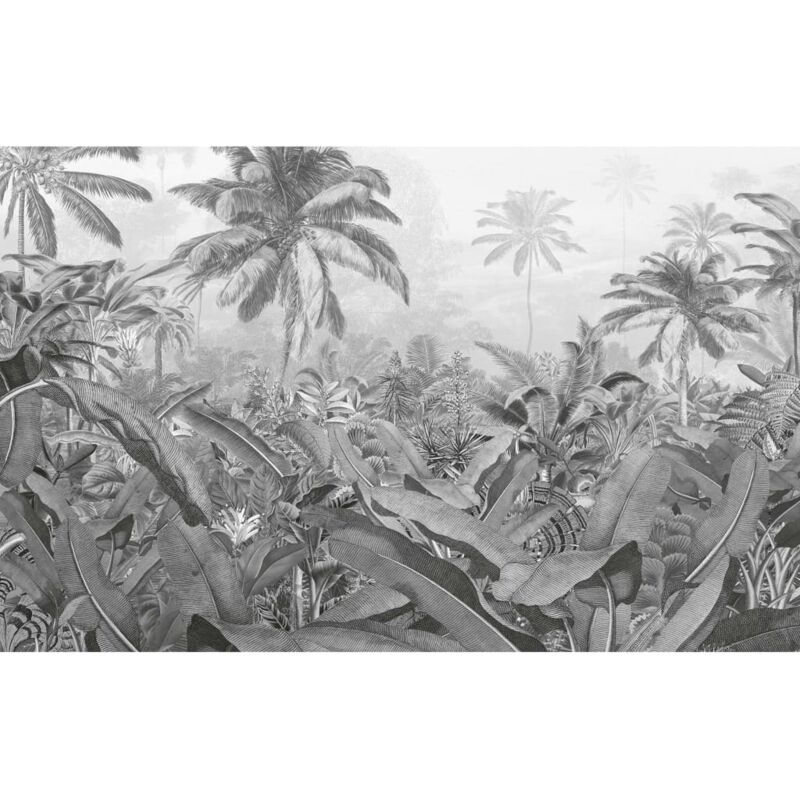 KOMAR Papier peint photo Amazonia Noir et blanc 400x250 cm  Multicolore