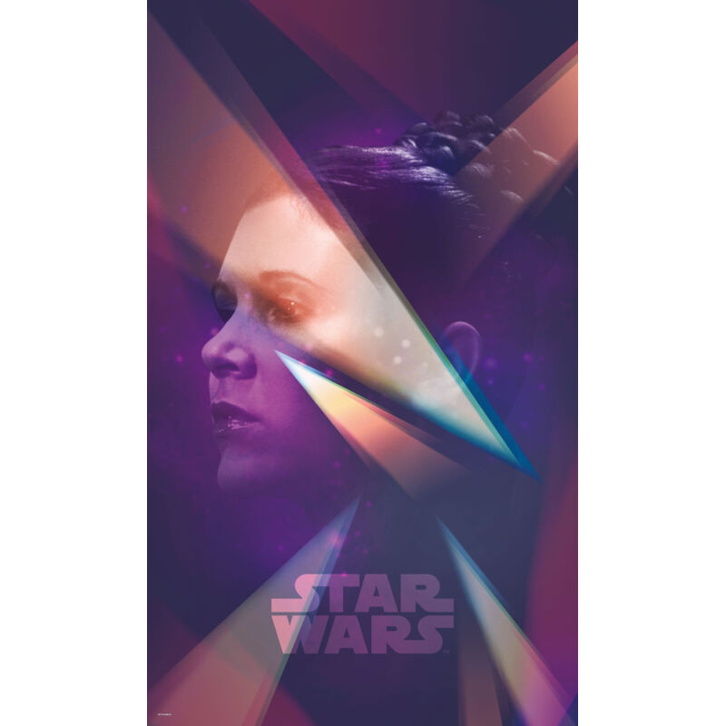 Komar - Poster géant intissé Princesse Leia Star Wars 120x200cm