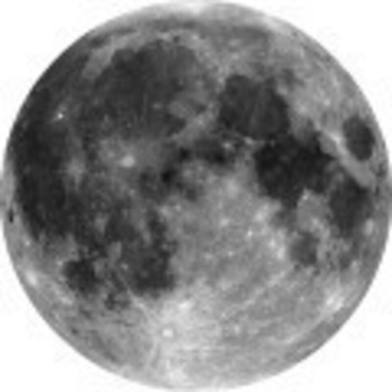 Komar - papier peint panoramique rond adhésif lune noir et blanc - Sanders & Sanders