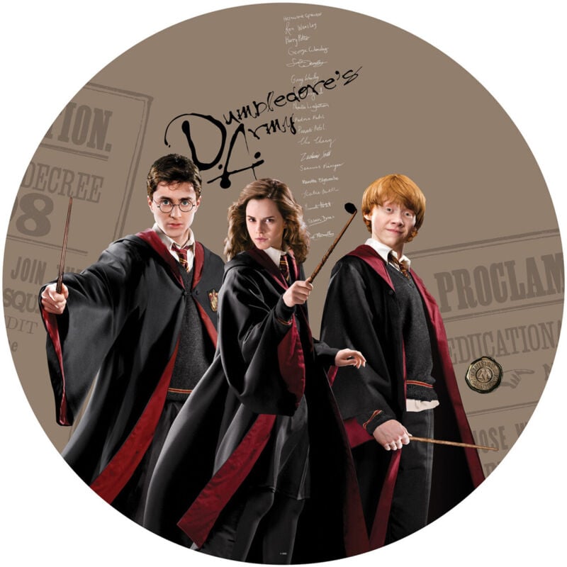 Papier peint intissé auto-adhésif rond Harry Potter et ses amis - Hermione et Ron - 70 x 70 cm