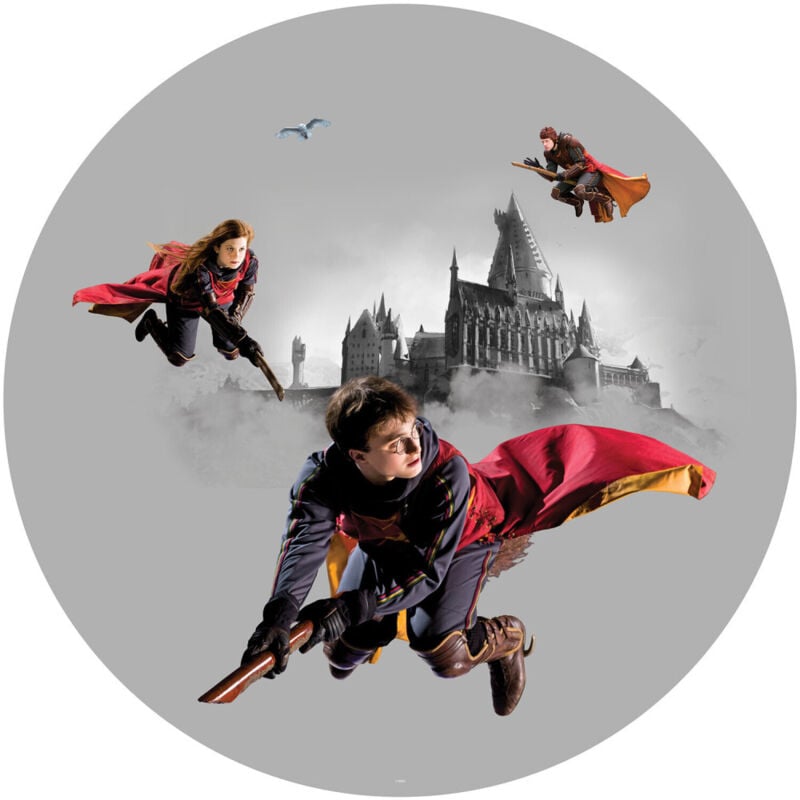 Papier peint intissé auto-adhésif rond Harry Potter Quidditch 3 personnages - 70 x 70 cm