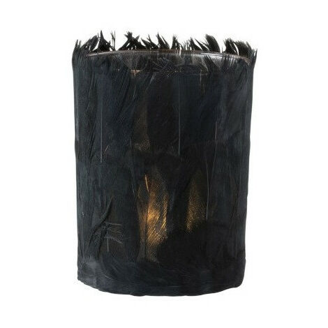 Photophore verre et plumes noires Ysarg