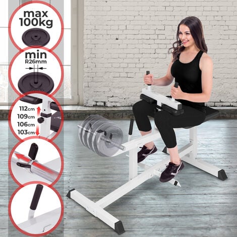 Physionics® Machine à Mollets - Assis, Capacité Max. 220 kg, Hauteur Réglable en 4 Positions, Cadre en Acier - Presse à Mollets, Appareil de Musculation, Gym, Fitness