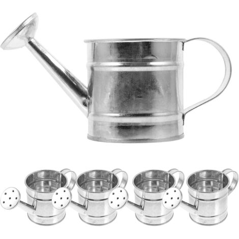 pi ces Mini Arrosoirs Fer Galvanis Petits Arrosoirs D