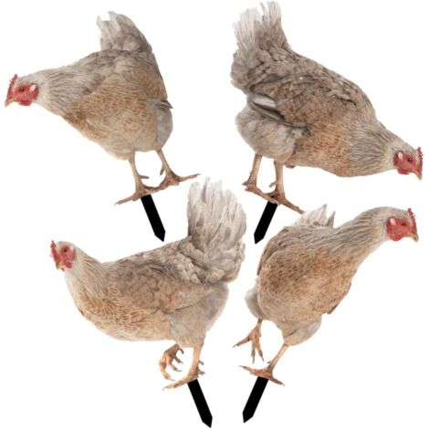 pi ces Piquets D coratifs Poule Acrylique pour Jardin D
