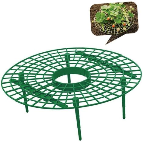 pi ces Support Plantes Grimpantes pour Fraises Vert Cadre