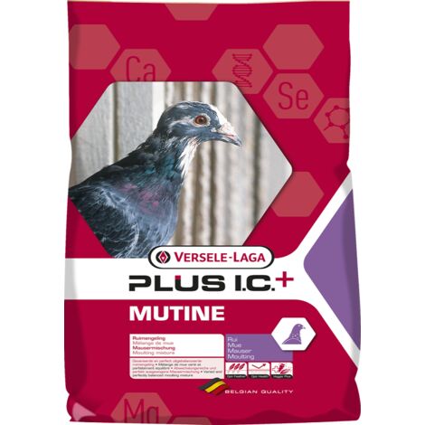 PiМ i.c. Mutine 20 kg