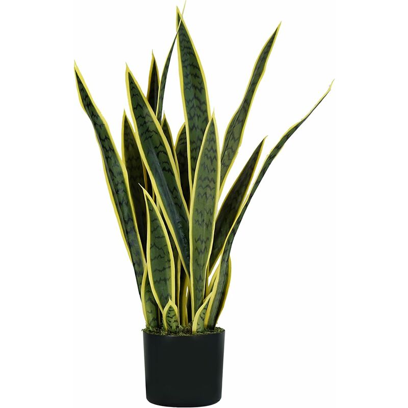 King Home - plantes de sanseviery h. 75 cm 21 feuilles