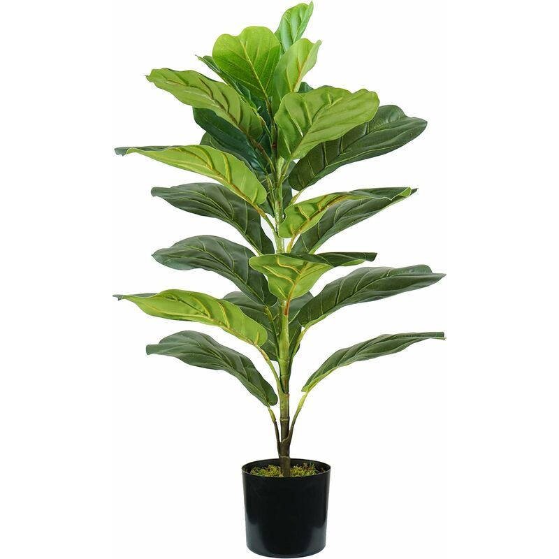 King Home - ficus lyrata plantes h. 75 cm 21 feuilles