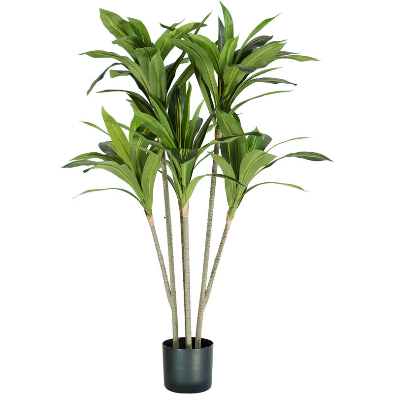 Image of Pianta dracaena h. 130 cm 88 foglie completa di vaso con muschio - King Home