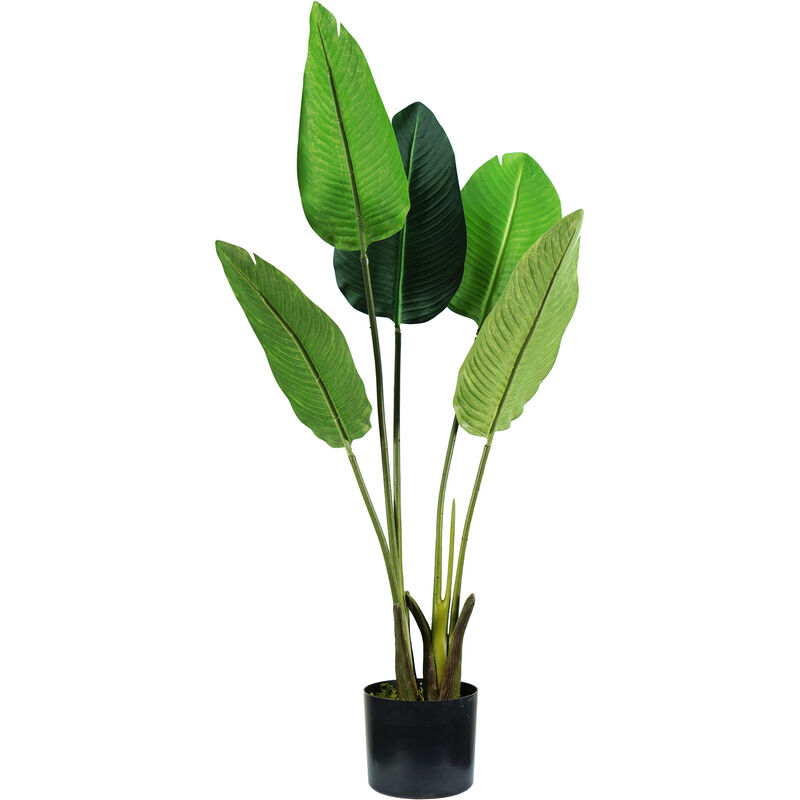 Image of King Home - pianta strelitzia h. 100 cm 5 foglie completa di vaso con muschio