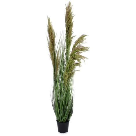 Pianta artificiale "Carine Pampas" verde e marrone, fiore in ciuffi con vaso in plastica -Ø50x96h cm