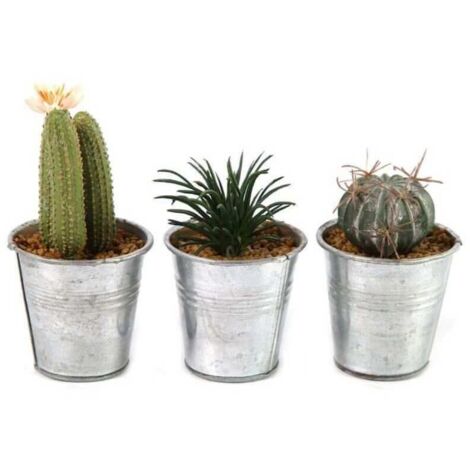 Pianta Artificiale Di Cactus In Vaso Leia